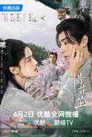 惜花芷电视剧免费观看完整版